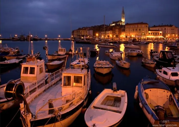 Serene Coastal Retreat For 3 In Διαμέρισμα *